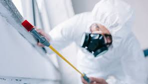 Best Pest Prevention Services  in The Pinery, CO